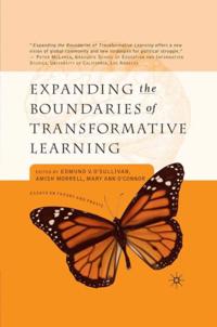 Palgrave Social & Cultural Studies Collection