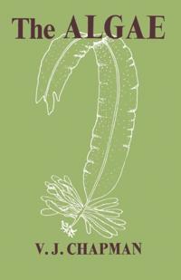 Algae