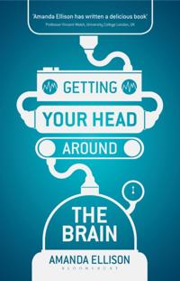 Getting your head around the brain