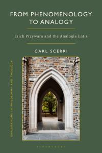 From Phenomenology to Analogy