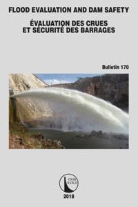 ICOLD Bulletins Series