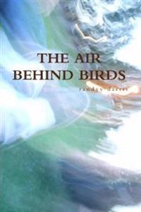 The Air Behind Birds