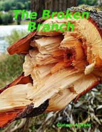 Broken Branch