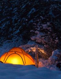 Camping Catfight