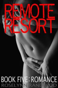 Remote Resort: Book Five : Romance