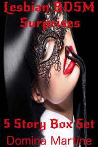 Lesbian BDSM Surprises: 5 Story Box Set