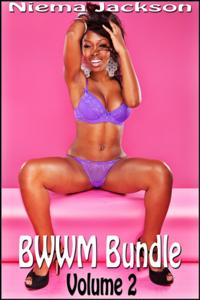 BWWM Bundle: Volume 2