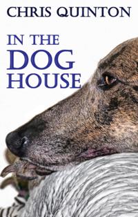 In The Doghouse