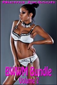 BWWM Bundle - Volume 7 (Interracial Romance BWWM)