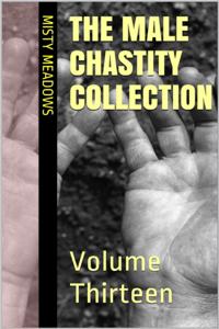 Male Chastity Collection: Volume Thirteen
