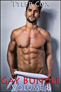 Gay Bundle - Volume 8 (Gay MM Erotic Romance)