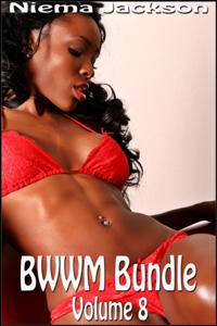 BWWM Bundle: Volume 8