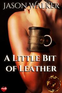 Little Bit of Leather