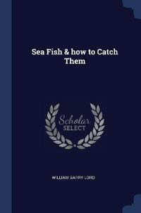 Sea Fish & how to Catch Them