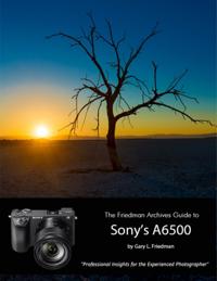 Friedman Archives Guide to Sony's A6500 - Professional Insights for the Experienced Photographer