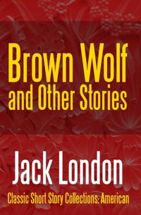 Classic Short Story Collections: American