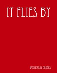 It Flies By