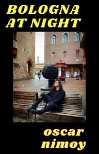 BOLOGNA AT NIGHT