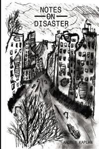 Notes on Disaster