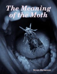 Meaning of the Moth