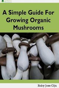 Simple Guide for Growing Organic Mushrooms