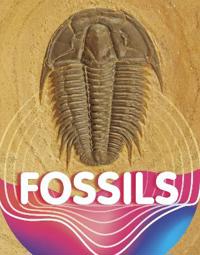Kirjan kansi "Fossils"
