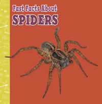 Fast Facts About Spiders