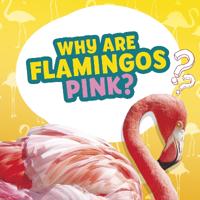 Bokomslag för "Why Are Flamingos Pink?"