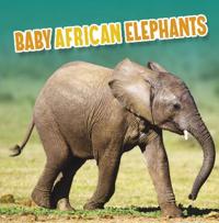 Kirjan kansi "Baby African Elephants"