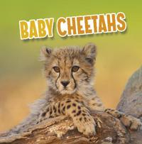 Kirjan kansi "Baby Cheetahs"