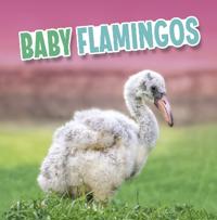 Kirjan kansi "Baby Flamingos"