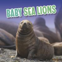 Kirjan kansi "Baby Sea Lions"