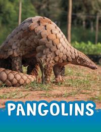Kirjan kansi "Pangolins"