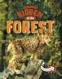 Kirjan kansi "Animals Hidden in the Forest"