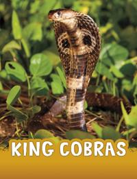 Kirjan kansi "King Cobras"