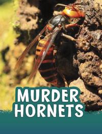 Kirjan kansi "Murder Hornets"
