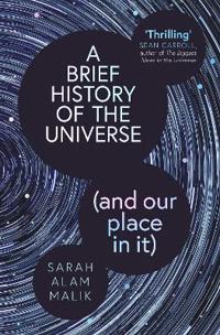 A Brief History of the Universe (and our place in it)