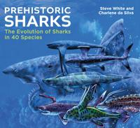 Prehistoric Sharks: The Evolution of Sharks in 40 Species
