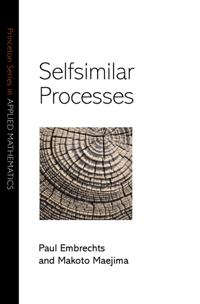 Princeton Series in Applied Mathematics