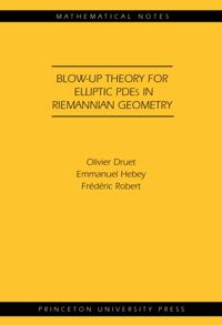 Blow-up Theory for Elliptic PDEs in Riemannian Geometry