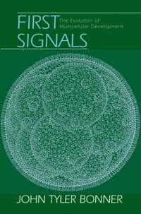 First Signals
