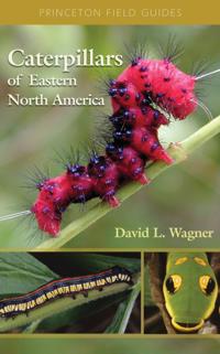 Princeton Field Guides