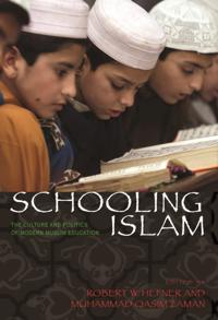 Princeton Studies in Muslim Politics