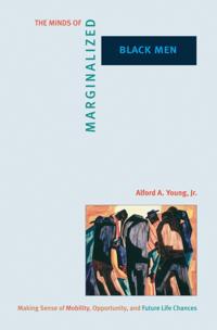Princeton Studies in Cultural Sociology