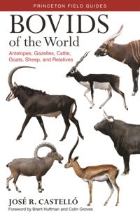 Princeton Field Guides