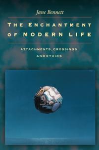 Enchantment of Modern Life