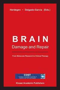 Brain Damage and Repair