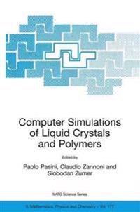 Computer Simulations of Liquid Crystals and Polymers
