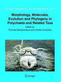 Bokomslag for "Morphology, Molecules, Evolution and Phylogeny in Polychaeta and Related Taxa"
