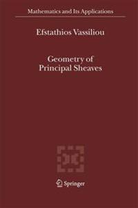 Geometry of Principal Sheaves